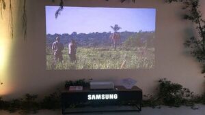 Samsung Paraguay presentó el espacio Aves del Paraguay