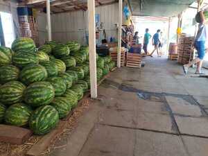 La Sandia de San Pedro del Paraná va ganando mercado en Encarnación