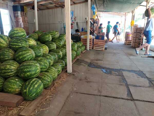 La Sandia de San Pedro del Paraná va ganando mercado en Encarnación