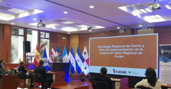 Centroamérica cuenta con una nueva estrategia de relevo generacional del cacao - MarketData