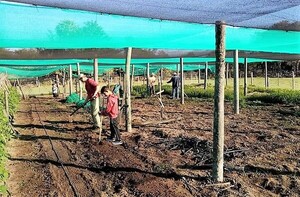 Familias que subsisten hace 22 años en campo comunal temen ser desalojadas y piden socorro a autoridades – La Mira Digital