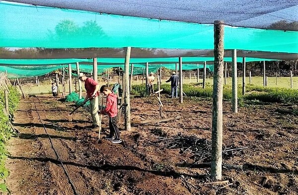 Familias que subsisten hace 22 años en campo comunal temen ser desalojadas y piden socorro a autoridades – La Mira Digital