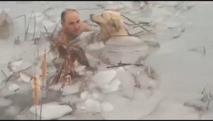 Heroico: guardias rescataron a un perro atrapado en un estanque congelado
