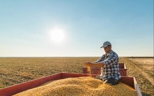 BID Invest y Agrofértil contribuyen a fortalecer las cadenas de valor agrícolas en Paraguay » San Lorenzo PY