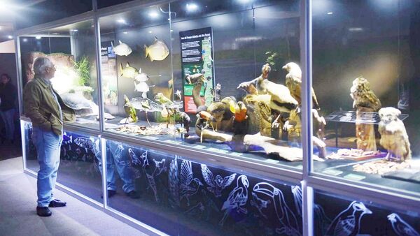 Itaipú ofrece atractivos para los amantes del turismo interno