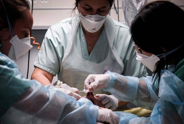 Diario HOY | Una mujer con certificado de vacunación falso muere de covid-19 en hospital de Francia