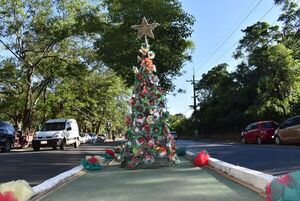 Utilizan materiales reciclados para adornar avenida de Villa Elisa - Nacionales - ABC Color
