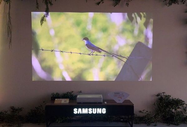 Samsung, en “Aves del Paraguay” - Empresariales - ABC Color