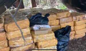 PJC: Incautan casi 10 toneladas de marihuana lista para ser llevada al Brasil - OviedoPress