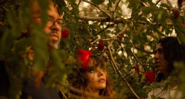 Diario HOY | Passiflora presentará primer sencillo 'Jacarandá', en concierto