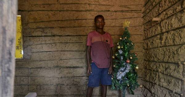 La Nación / Árbol de Navidad encontrado en un vertedero se transforma en esperanza para un niño