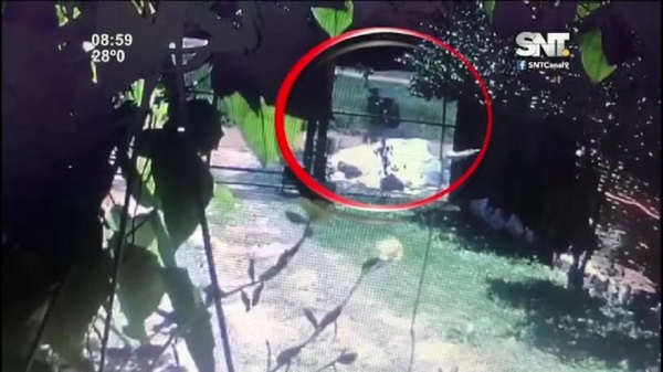 Inseguridad en Luque - SNT