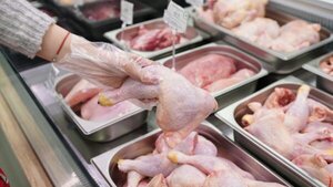 Ingresos por exportaciones avícolas crecieron 20% hasta noviembre