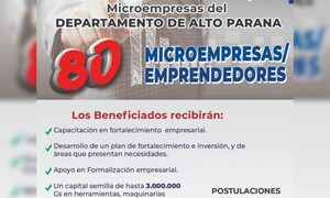 Pretenden fortalecer microempresas