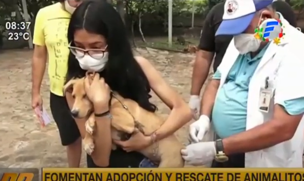 Fomentan adopción y rescate de mascotas en Fernando de la Mora | Telefuturo