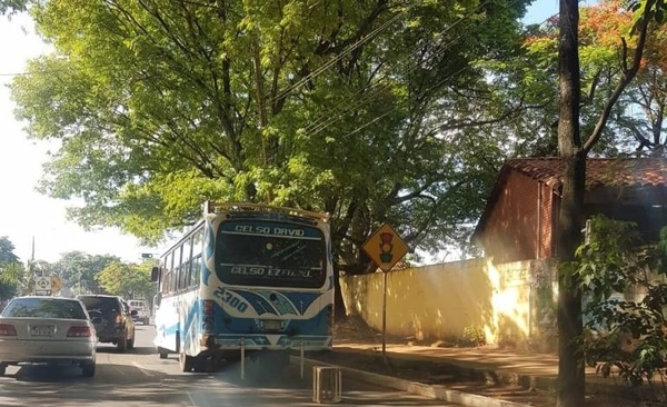 Diario HOY | Detienen a chofer por golpear a su esposa e hijastro