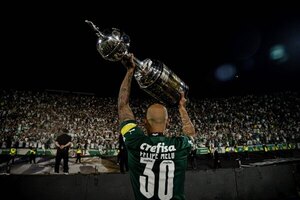 Felipe Melo dejó Palmeiras y ficha por otro poderoso de Brasil