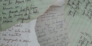 Poemario de Genny Maestre se presentará en la Biblioteca Municipal - Literatura - ABC Color