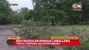 Destrozos en el Parque Bernardino Caballero - C9N