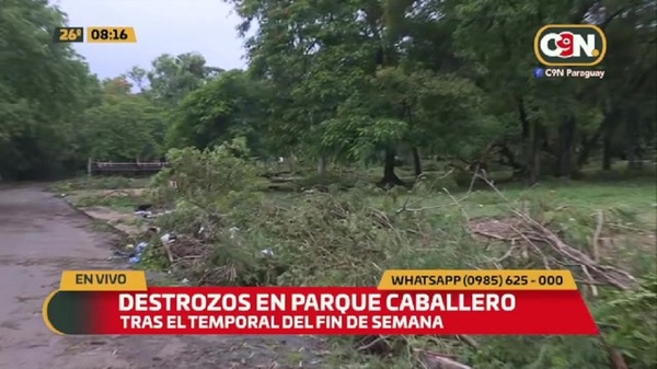 Destrozos en el Parque Bernardino Caballero - C9N