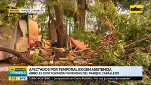 Árboles destrozaron viviendas del Parque Caballero - ABC Noticias - ABC Color