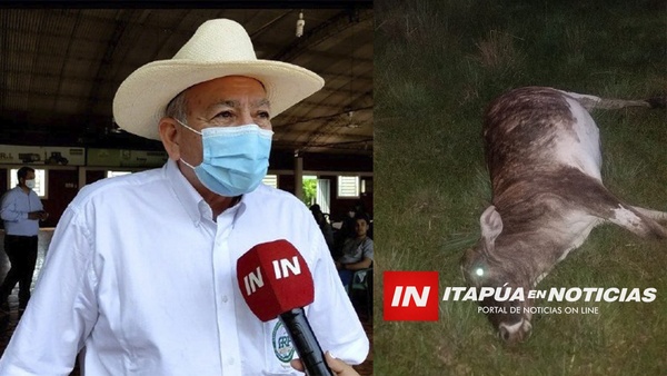ABIGEOS: “UNA ENFERMEDAD INCURABLE”, SEGÚN LÍDER DE ARP ITAPÚA. - Itapúa Noticias