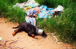 Matan cruelmente a dos rottweilers en San Lorenzo