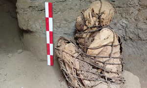 Arqueólogos descubren momia de 1.200 años en Perú - OviedoPress