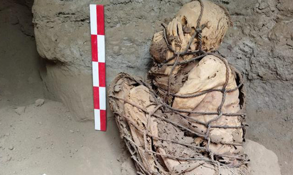 Arqueólogos descubren momia de 1.200 años en Perú - OviedoPress