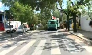 Camión de gran porte derribó un árbol en Gral. Santos - C9N