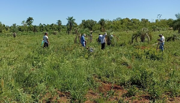 Caaguazú: Jóvenes de la comunidad Punta Porá desarrollan actividades forestales