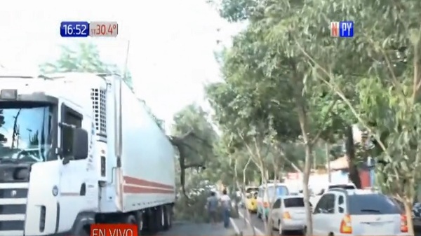 Camión de gran porte chocó contra un árbol en Asunción | Noticias Paraguay