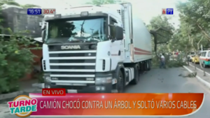 Camión chocó árbol y dejó sin luz a todo un barrio de Asunción