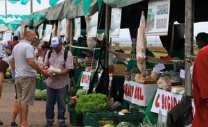 Diario HOY | Feria de la agricultura en la playa San José
