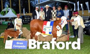 Vaca paraguaya es campeona mundial