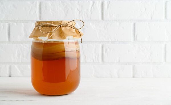 Kombucha: bebida milenaria para descubrirla
