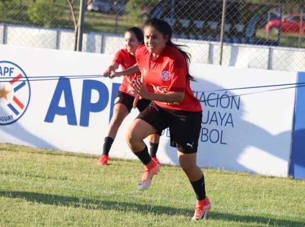 Prosiguen con la preparación - APF