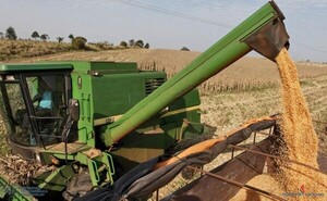 Soja cierra el año con cerca de 11 millones de toneladas cosechadas