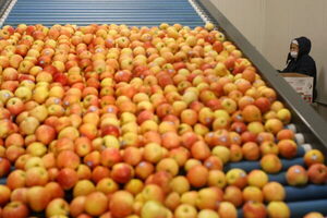 Gremios agropecuarios temen pérdidas en Ecuador por falta de recursos - MarketData