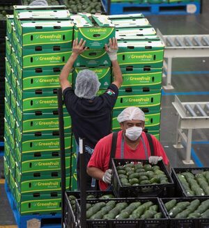 Grupo Alibaba ofrece a empresas mexicanas expansión en comercio electrónico - MarketData