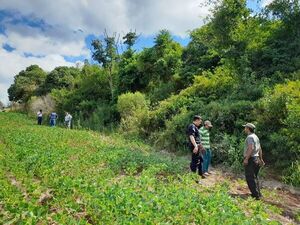 Itapúa: matan a presunto narcotraficante en reserva San Rafael - Nacionales - ABC Color