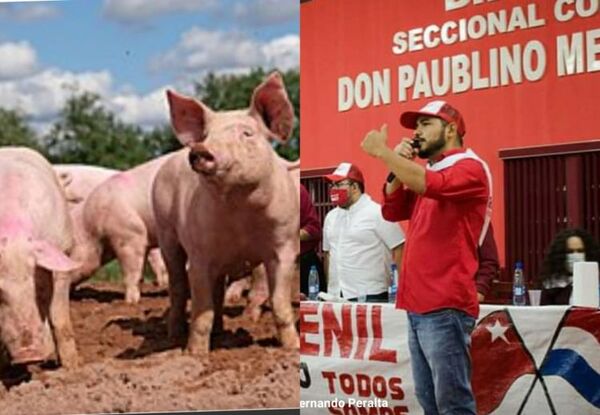 Para juntar gente seccionalero organiza “Torneo kure con cerveza” en Pedro Juan Caballero