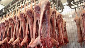 Mejores precios compensó la merma de envíos de rubros porcinos en noviembre
