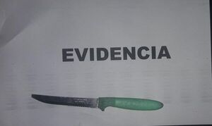 Sorprenden a ladrón en intento de robo domiciliario y luego lo detienen - Nacionales - ABC Color