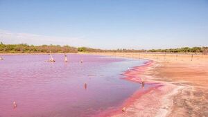 Mades atribuye a fenómeno natural el color de la laguna en Isla Po'i