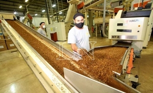 Diario HOY | Senado posterga estudio de protocolo de productos de tabaco