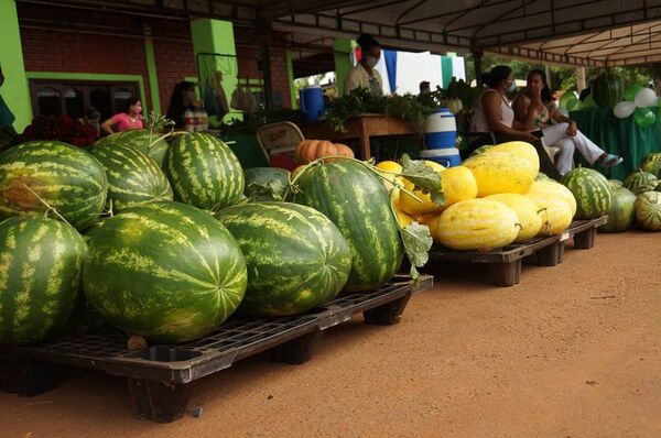 Expo Sandía reunirá mañana a decenas de productores en Tavapy - ABC en el Este - ABC Color