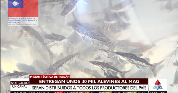 Misión Técnica de Taiwán entregó 30 mil alevines al MAG