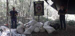 SENAD desmantela campamento narco en Villa Ygatimi, Canindeyú