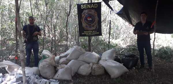 SENAD desmantela campamento narco en Villa Ygatimi, Canindeyú